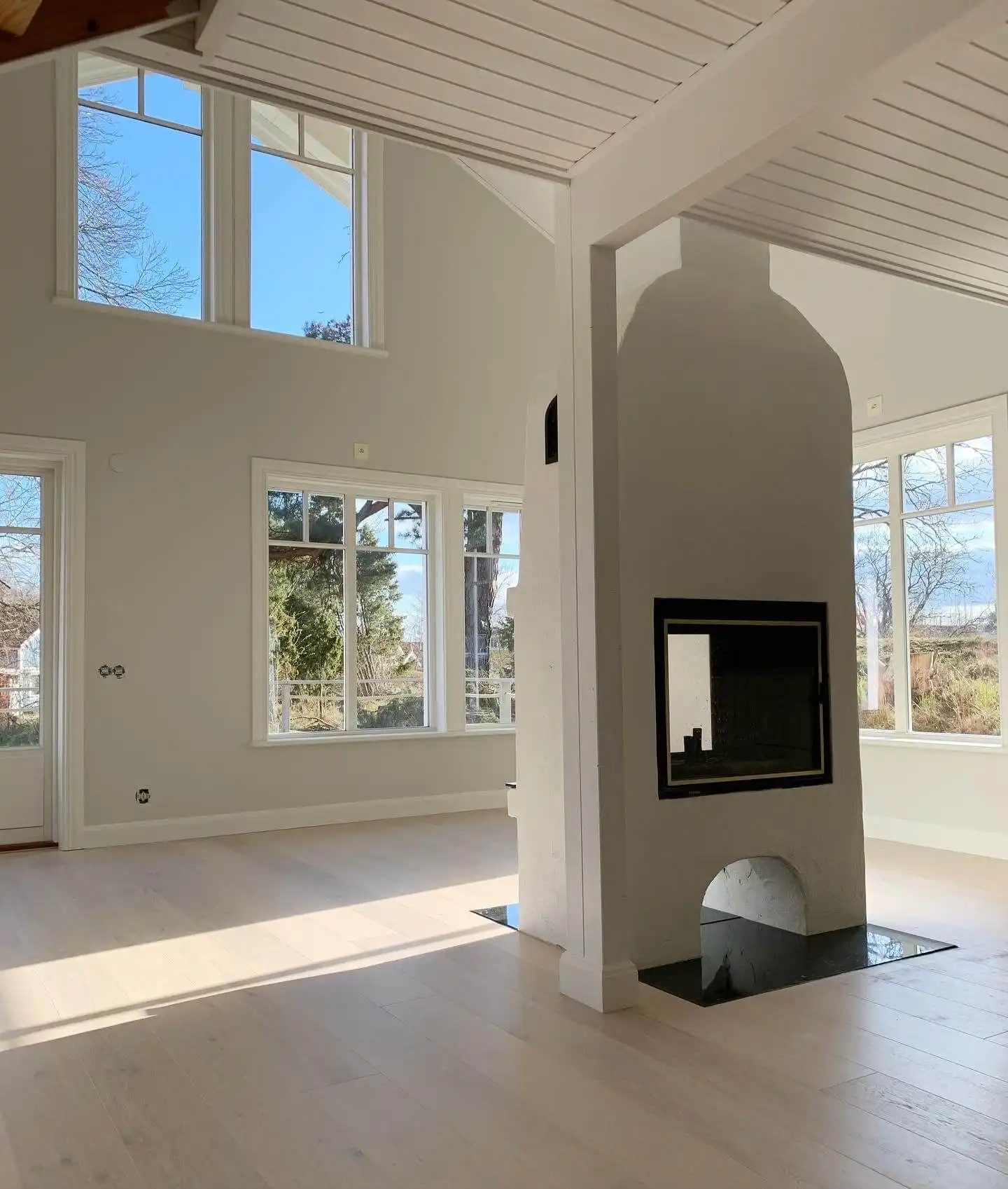 Vägg och takmålning