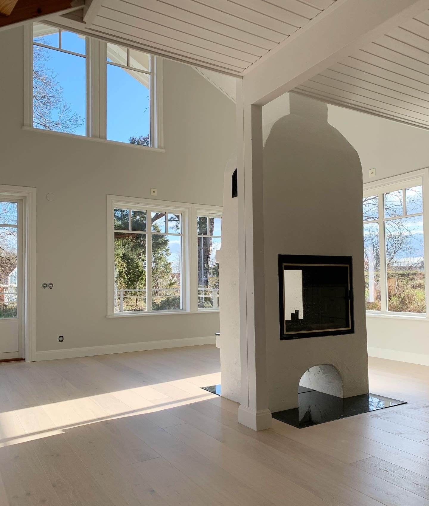 Vägg och takmålning